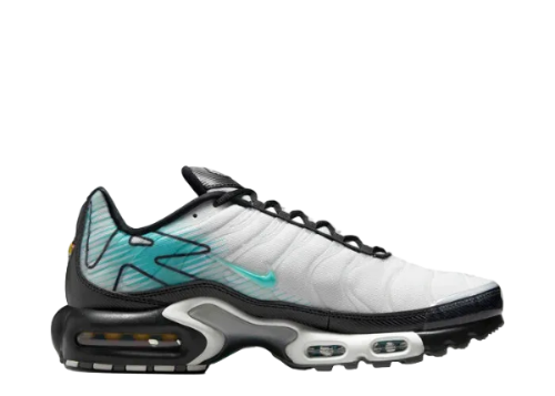 Nike Air Max Plus TN Coy