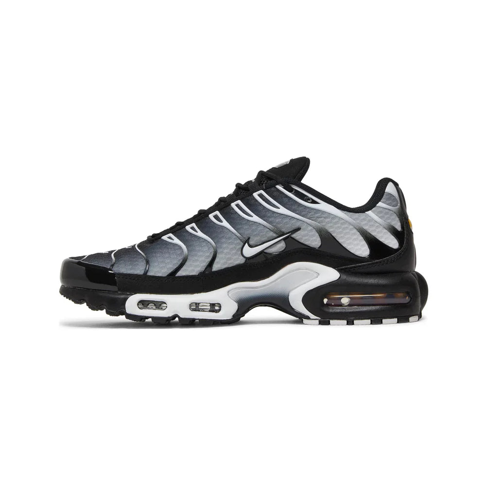 Nike Air Max Plus TN Black Metallic Silver
