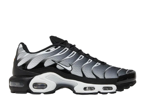 Nike Air Max Plus TN Black Metallic Silver
