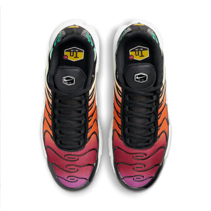 Nike Air Max Plus TN Rainbow