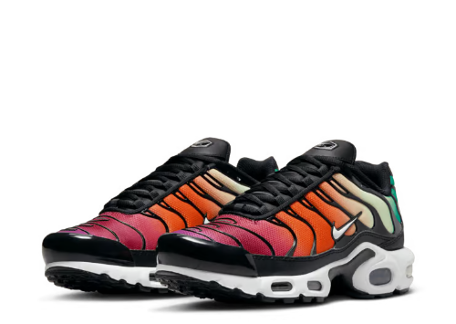 Nike Air Max Plus TN Rainbow