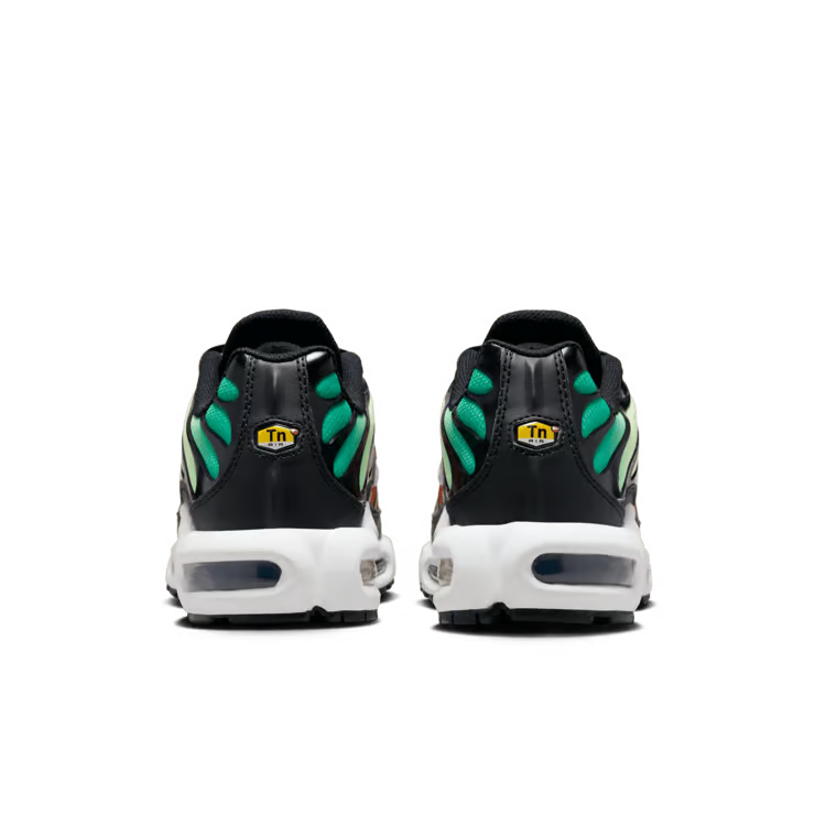 Nike Air Max Plus TN Rainbow