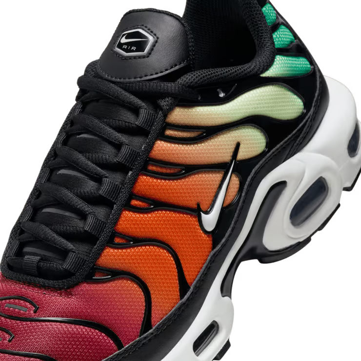 Nike Air Max Plus TN Rainbow