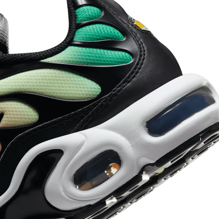 Nike Air Max Plus TN Rainbow