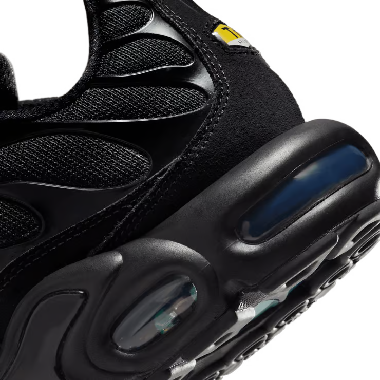 Nike Air Max Plus Unity