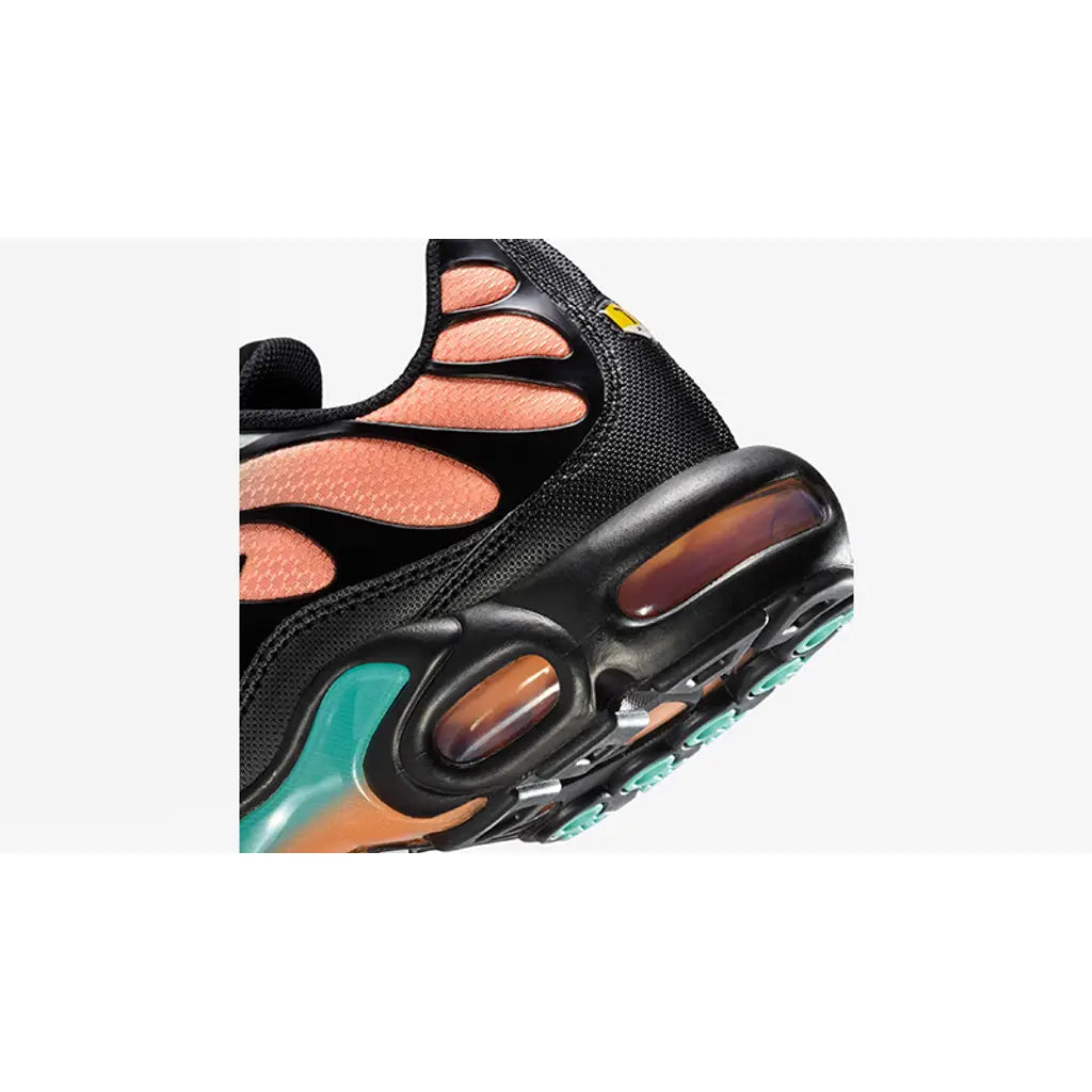 Nike Air Max Plus TN South Beach
